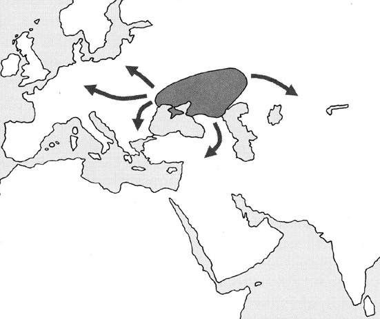 L'origine dell'indoeuropeo: l'ipotesi dei kurgan