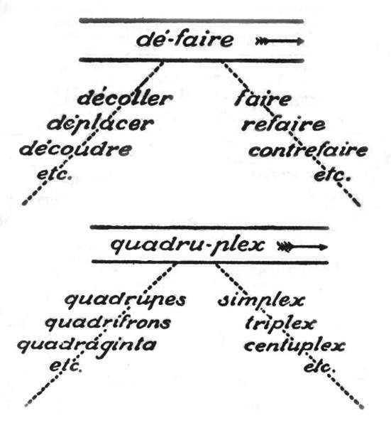 Asse sintagmatico ed asse paradigmatico (associativo) nei sintagmi ''dfaire'' (francese) e ''quadruplex'' (latino)