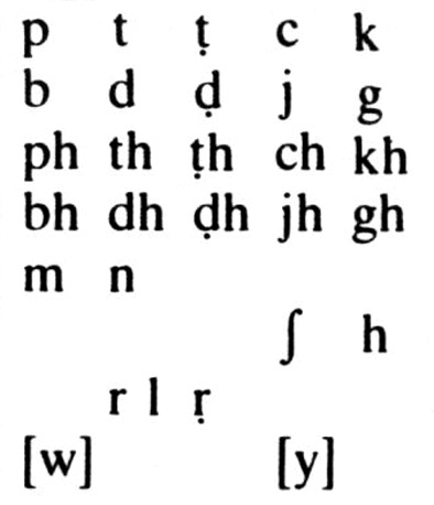 Il sistema consonantico del bengali