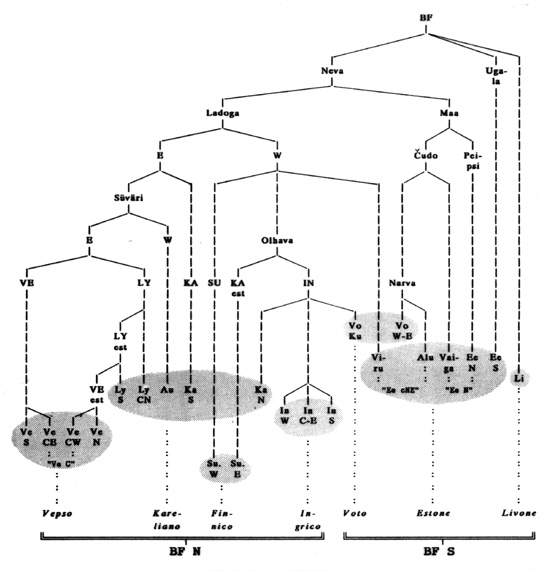 filogenesi delle costituenti storiche primarie delle lingue BF