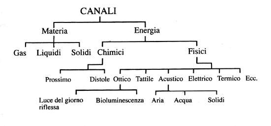 I diversi tipi di canale secondo Sebeok