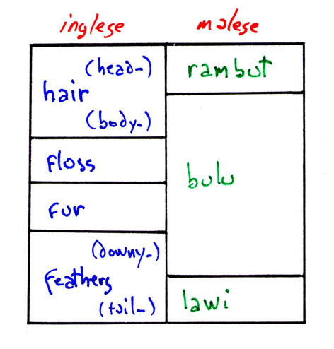 Ci che ricopre i corpi in inglese e malese