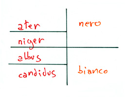 nero e bianco in latino ed italiano