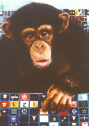 Uno scimpanz alla tastiera