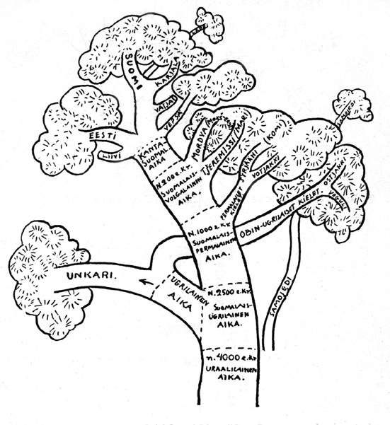 L'albero delle lingue uraliche secondo Kettunen